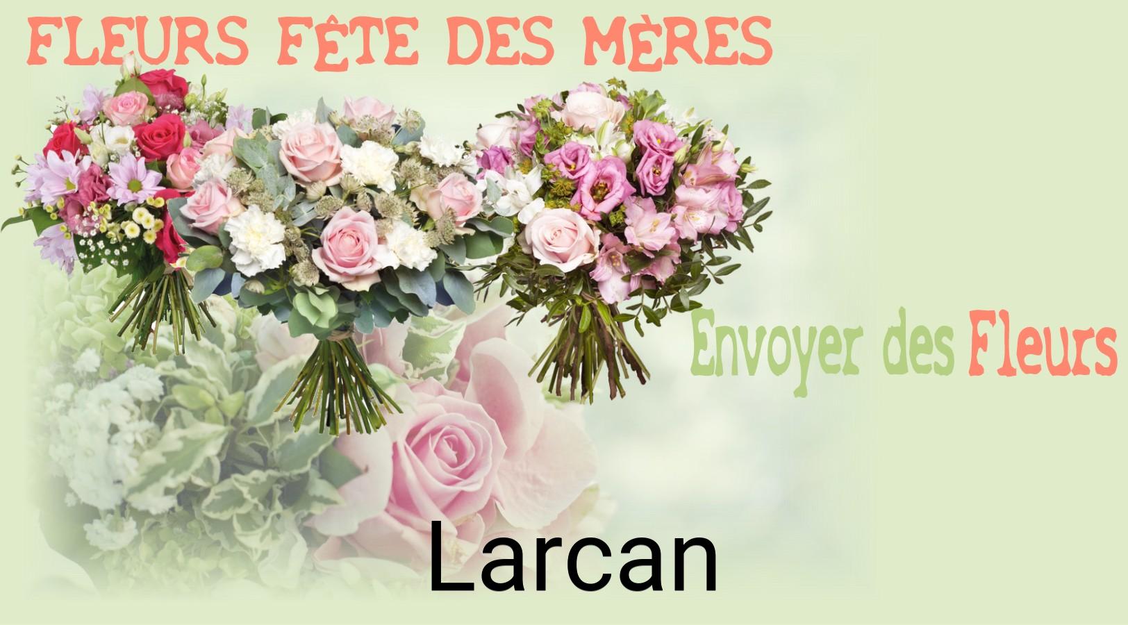 Bouquet de Fête des Mères livré à Larcan