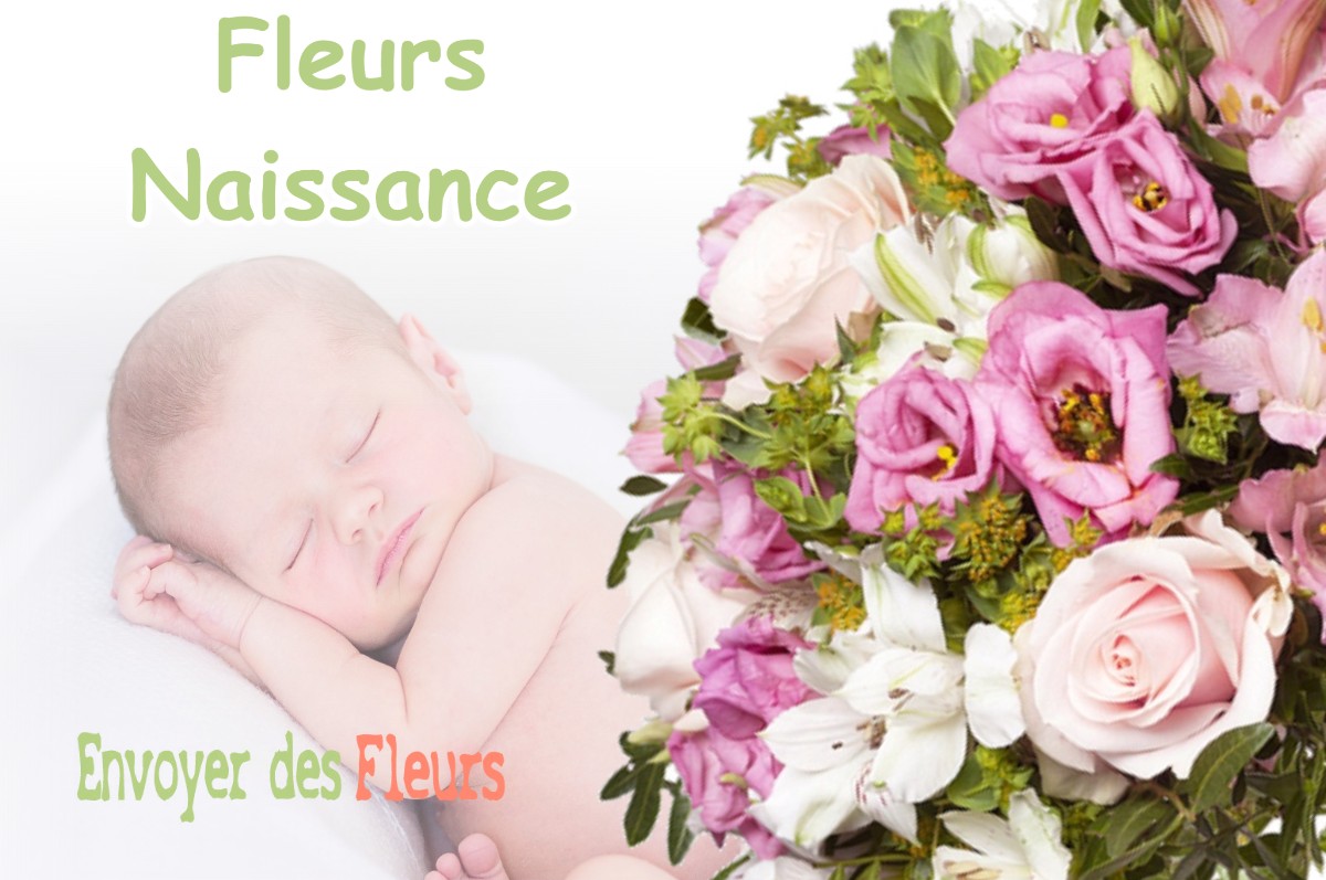 lIVRAISON FLEURS NAISSANCE à LARCAN